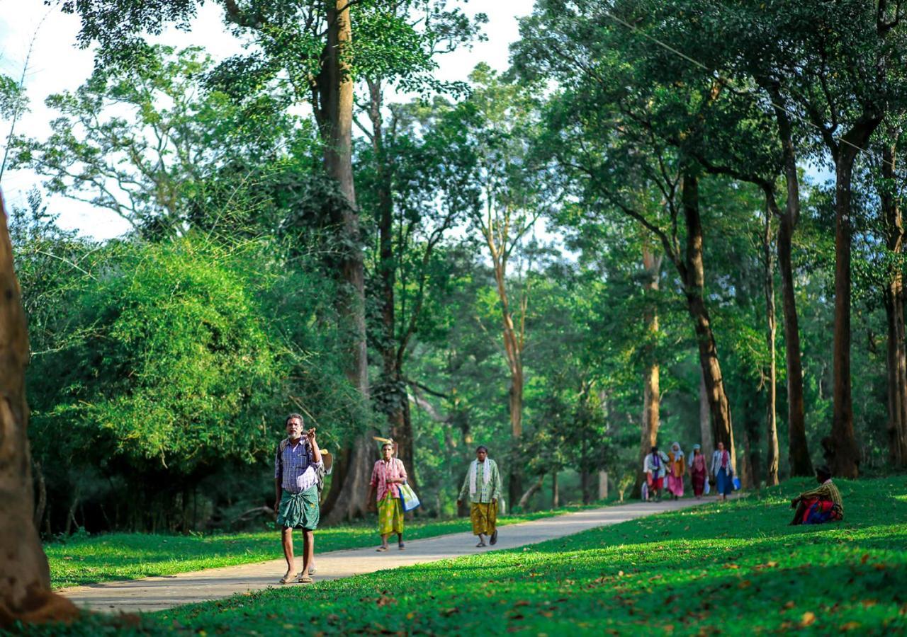 Tusker Inn Wayanad Forest Villa By Voye Homes Ngoại thất bức ảnh